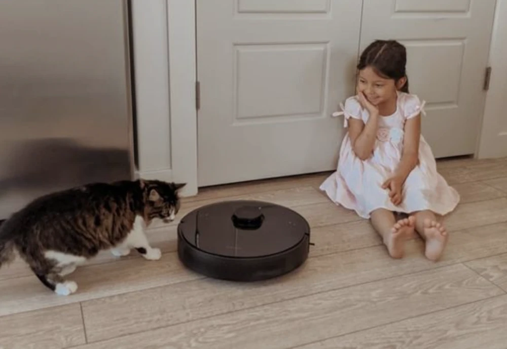 robot vacuum cleaning